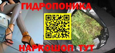 jwh Обь